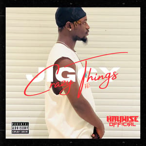 Haywise_official - Jiggy(Crazy things)