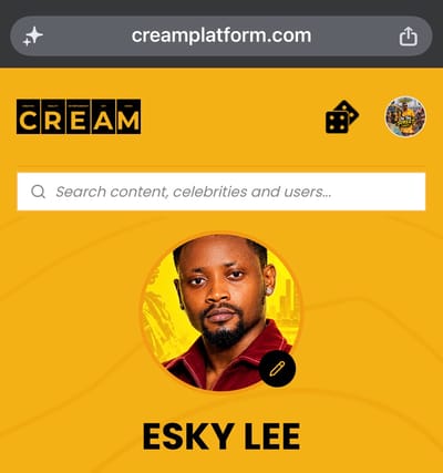 artist cover image