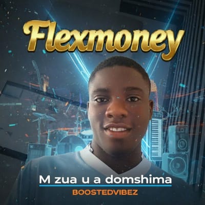 Flexmoney_-_m zua u a domshima