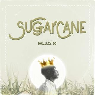 Sugarcane
